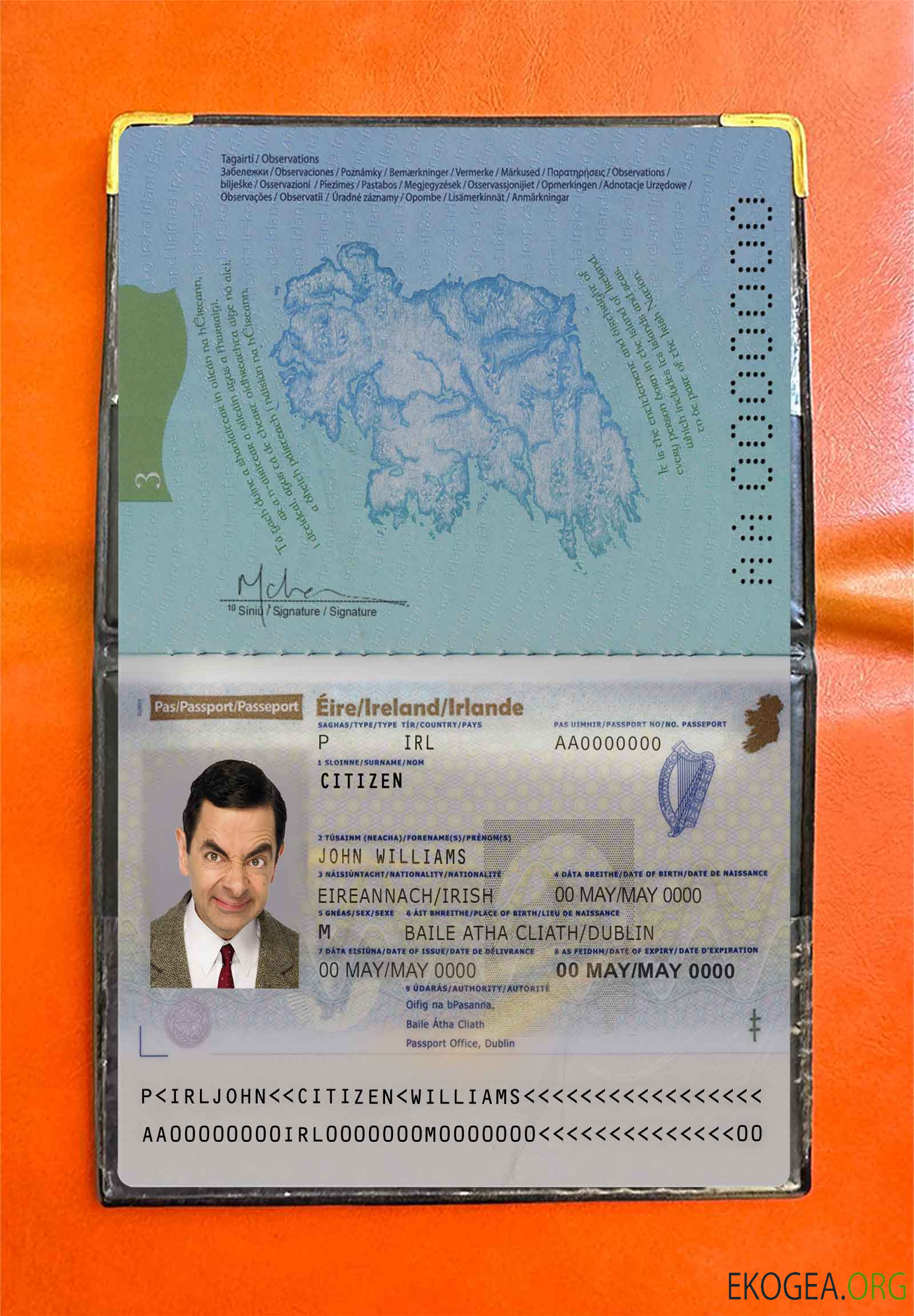 Look photo du passeport irlandais